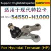 Hyundai Terracan Lower Control Arm Ball Joint 54550-H1000