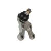 Hyundai Terracan Lower Control Arm Ball Joint 54550-H1000