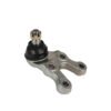 Hyundai Terracan Lower Control Arm Ball Joint 54550-H1000