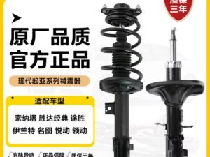 Hyundai Santa Fe Front Shock Absorber PAIR 2001-2023 Heavy Duty